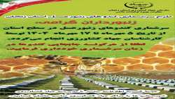 طرح سرشماری کندوهای زنبور عسل استان زنجان