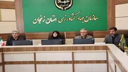 تأکید معاون اقتصادی استاندار زنجان بر تأمین پایدار آرد و ساماندهی مجوز نانوایی‌ها