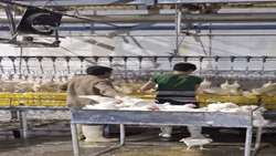 تشدید نظارت بر مراکز تأمین و توزیع کالاهای اساسی  در استان زنجان 