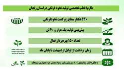 اینفوگرافی | طارم قطب تخصصی تولید نخود فرنگی در استان زنجان 
