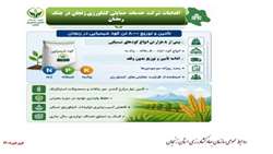اینفوگرافی اقدامات شرکت خدمات حمایتی کشاورزی در جنگ رمضان
