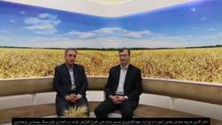 طرح افزایش تولید دام سبک- مدیر طرح