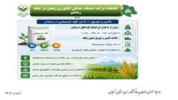 اینفوگرافی اقدامات شرکت خدمات حمایتی کشاورزی
