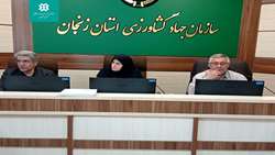 دستور کارِ پرداخت مطالبات گندمکاران در چهارمین جلسه کارگروه خرید تضمینی استان  زنجان