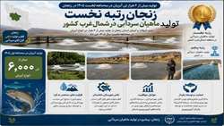  زنجان رتبه نخست تولید ماهیان سردآبی در شمال‌غرب کشور/ تولید بیش از ۶۰۰۰  تن انواع آبزیان در ۳ ماهه اول ۱۴۰۵