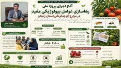  آغاز اجرای پروژه ملی رهاسازی عوامل بیولوژیکی مفید در مزارع گوجه‌فرنگی استان زنجان/ سالانه ۲۵۰۰ هکتار از اراضی زراعی استان تحت پوشش توزیع و رها سازی عوامل مفید بیولوژیکی قرار می گیرد 