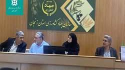 تشکیل کارگروه گندم، آرد و نان استان زنجان با تأکید بر ساماندهی نانوایی‌ها و کاهش انحراف آرد