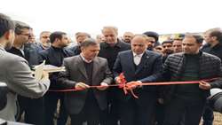 وزیر جهاد کشاورزی وارد استان زنجان شد/ افتتاح فاز اول واحد پرورش گوسفند داشتی پر تولید شرکت کشت و صنعت مرد کوهستان