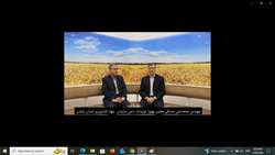 افزایش تولید در دامداری های روستایی- معاون تولیدات دام جهاد کشاورزی