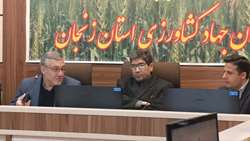 تأکید رئیس سازمان جهاد کشاورزی زنجان بر تداوم حمایت از تولید و استمرار تأمین امنیت غذایی