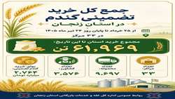 جمع کل خرید تضمینی گندم در استان زنجان(۲۵ خرداد الی ۲۴ تیرماه ۱۴۰۵)  
