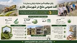 پایان موفقیت آمیز عملیات پایش و مبارزه با آفت عمومی ملخ در شهرستان طارم استان زنجان