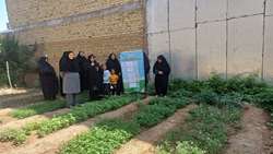 کارگاه های آموزشی «باغچه‌های خانگی» در روستای لاچوان برگزار شد