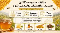 سالانه حدود ۲۰۰ تن عسل در شهرستان ماهنشان