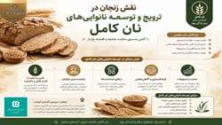نقش زنجان در ترویج و توسعه نانوایی های «نان کامل»