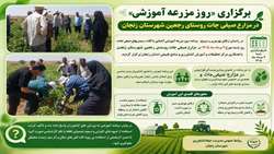 برگزاری« روز مزرعه » در مزارع صیفی‌جات شهرستان زنجان 