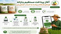 مدیر شرکت خدمات حمایتی کشاورزی استان زنجان/ آغاز پرداخت مستقیم یارانه کودهای فسفاته و پتاسه به حساب کشاورزان 