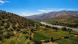 طارم در مسیر هوشمندسازی؛ کشاورزی مدرن، کلید طلایی کاهش هزینه‌ها و رونق تولید
