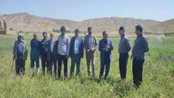 تحویل موقت طرح ۱۰۰ هکتاری آبیاری تحت فشار در روستای ایالو شهرستان ماهنشان
