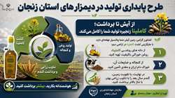 طرح پایداری تولید در دیمزارهای استان زنجان