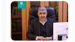 پیش‌بینی مشارکت 19 هزار کشاورز زنجانی در تولید محصول استراتژیک گندم