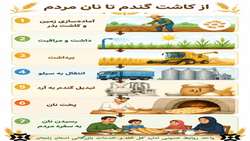 از کاشت گندم تا نان مردم