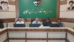 تقویت طرح پایداری تولید در دیم‌زارها و توسعه کشت گیاهان دارویی از اولویت‌های راهبردی بخش کشاورزی استان زنجان