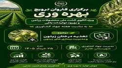 همزمان با هفته جهاد کشاورزی، برگزاری کاروان ترویج بهره‌وری, ویژه الگویی کشت محصولات زراعی و باغی