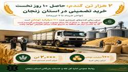 ۲ هزار تن گندم؛ حاصل ۱۰ روز نخست خرید تضمینی در استان زنجان (اواخر خرداد تا ۷ تیرماه)