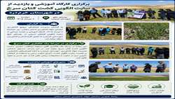 اینفوگرافی| گامی نو در توسعه کشت گیاهان دارویی