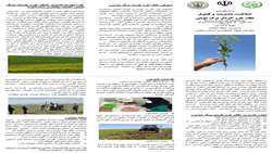شناخت ، مدیریت و کنترل علف هرز خردل برگ مومی
