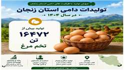 تولید تخم‌مرغ در استان زنجان