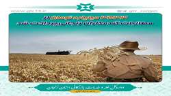 4544 میلیارد تومان از مطالبات گندمکاران زنجانی پرداخت شد