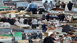 خدمت رسانی مرکزنیکوکاری شهدای جهاد کشاورزی استان زنجان به موکب اربعین هیئت ثارالله