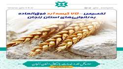 تخصیص 7500 کیسه آرد فوق‌العاده به نانوایی‌های استان زنجان