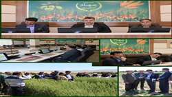 طرح جهش تولید در دیم زارها با محوریت محرومیت زدایی، نمونه موفقی از همکاری برون سازمانی و وزارتی می باشد