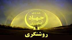 روشنگری وزارت جهاد کشاورزی در خصوص واردات نهاده‌های دامی