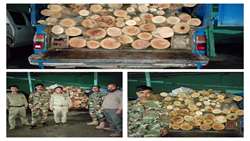 کشف و ضبط بیش از 2 تن چوب قاچاق در زنجان