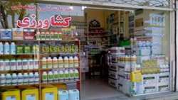 پلمپ 4 فروشگاه متخلف عرضه کننده سم در استان زنجان