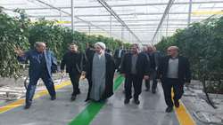 بازدید میدانی رئیس کل دادگستری ، دادستان و تعدادی از مدیران اجرائی استان ازشهرک گلخانه ای شیشه ای وحدت استان زنجان