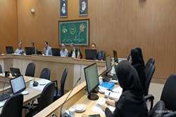 برگزاری جلسه کارگروه شناسایی خدمات استانی