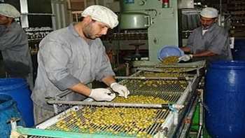 صنایع تبدیلی