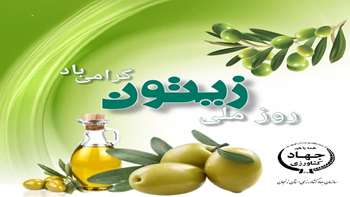 جشنواره زیتون