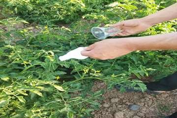 IMG_20260803_213908_832