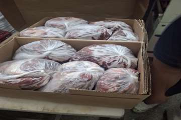 photo29080435840