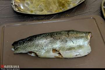 IMG_20260818_153656_134