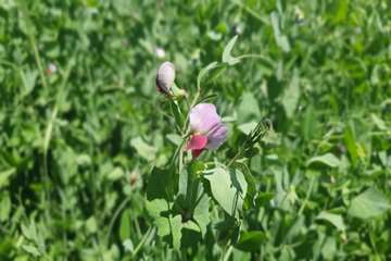 IMG_20260705_110702_914