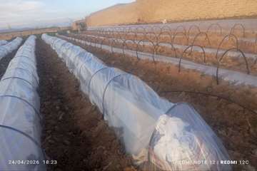 IMG_20260715_200918_434