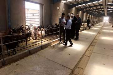 photo28619613164