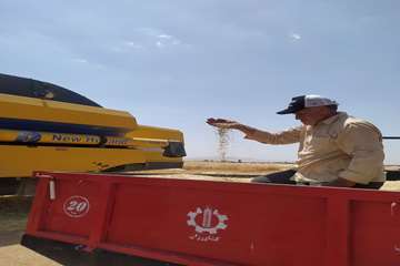 IMG_20260724_211537_515
